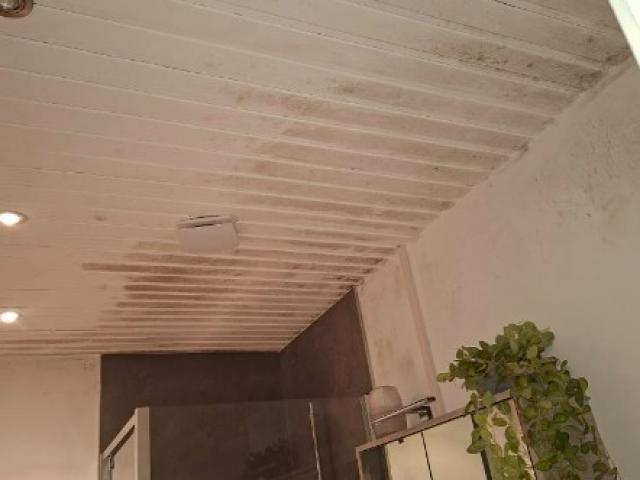 Rénovation et traitement anti-champignons d’une salle de bain dans la province du Luxembourg