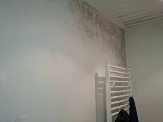 Rénovation et traitement anti-champignons d’une salle de bain dans la province du Luxembourg